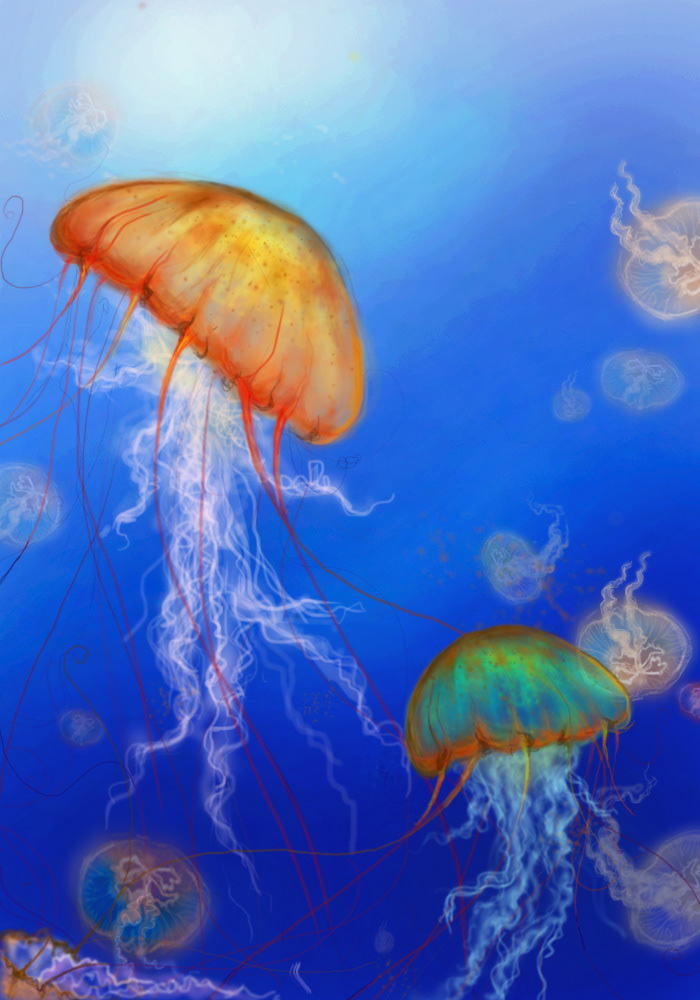 jelly fish Ocean marine life sea life watercolor digital painting ILLUSTRATION  aquamarine