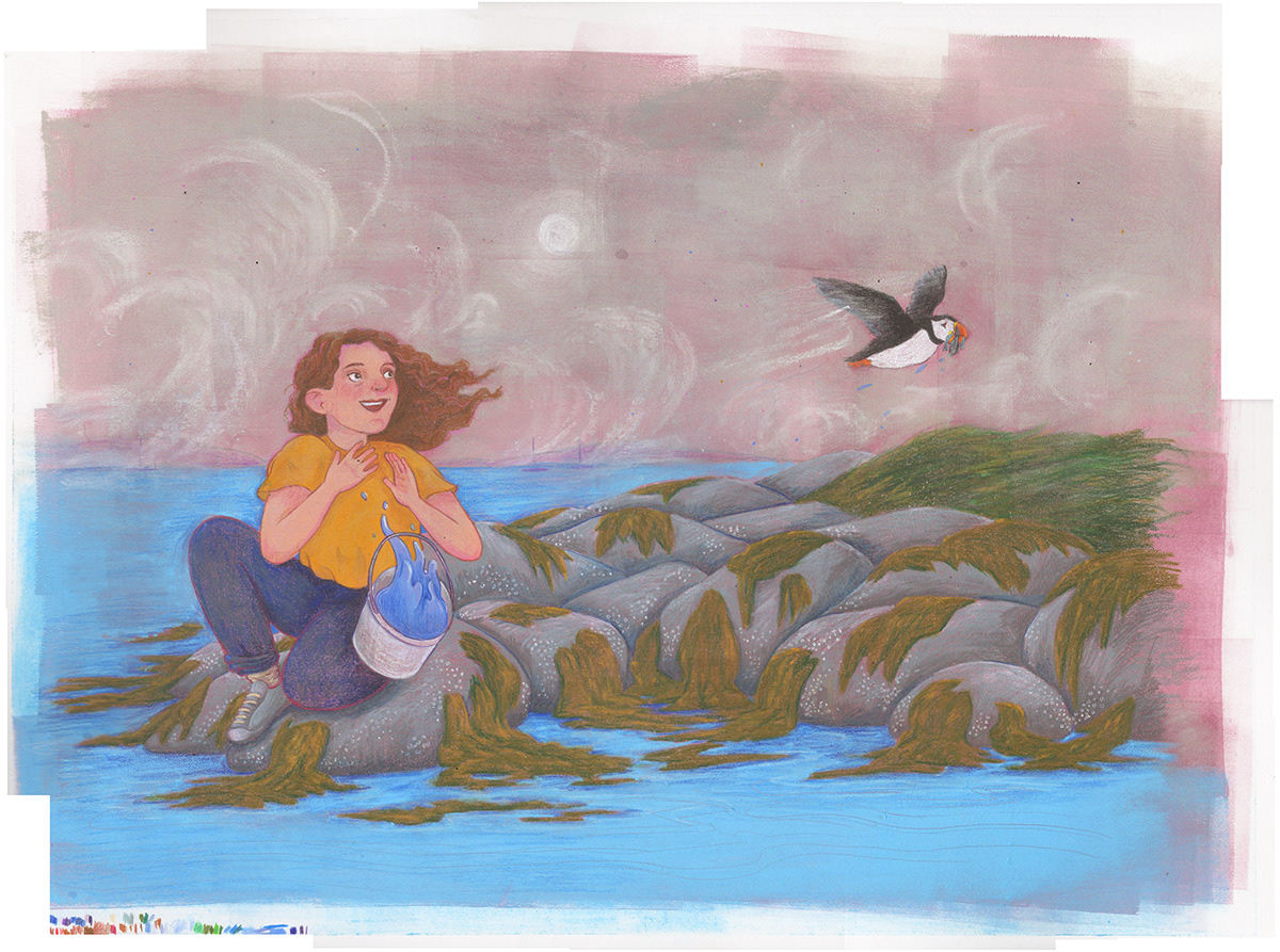 Maine children's book kidlit non fiction science birds children Coast environment endangered species