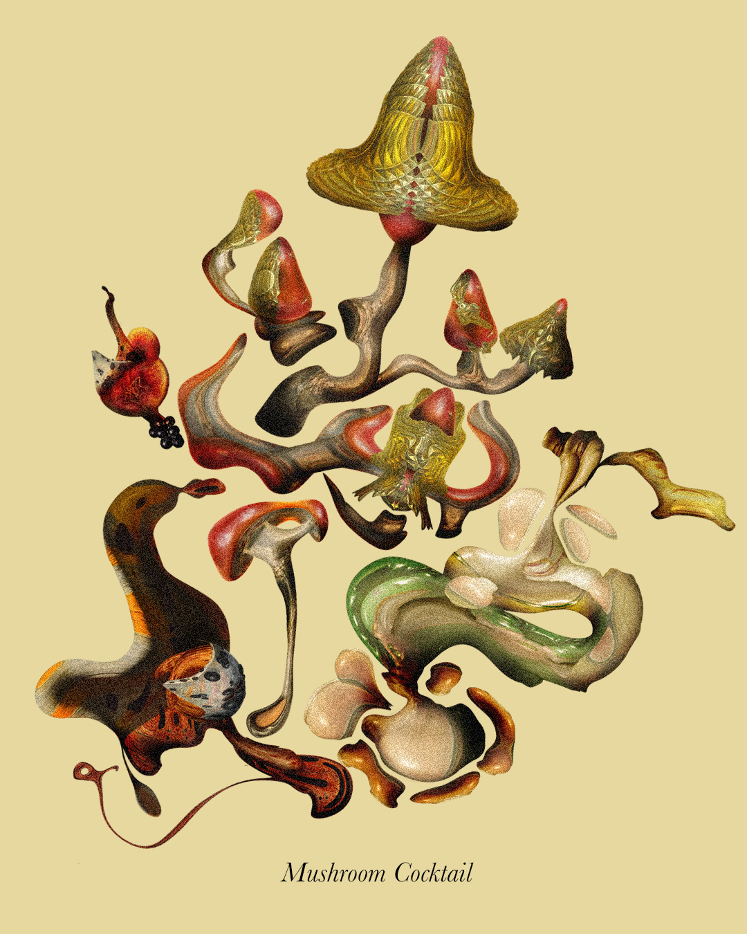 botanical Digital Art  digital illustration Fruit hybrid Jon Jacobsen mushroom photoshop realistic seed
