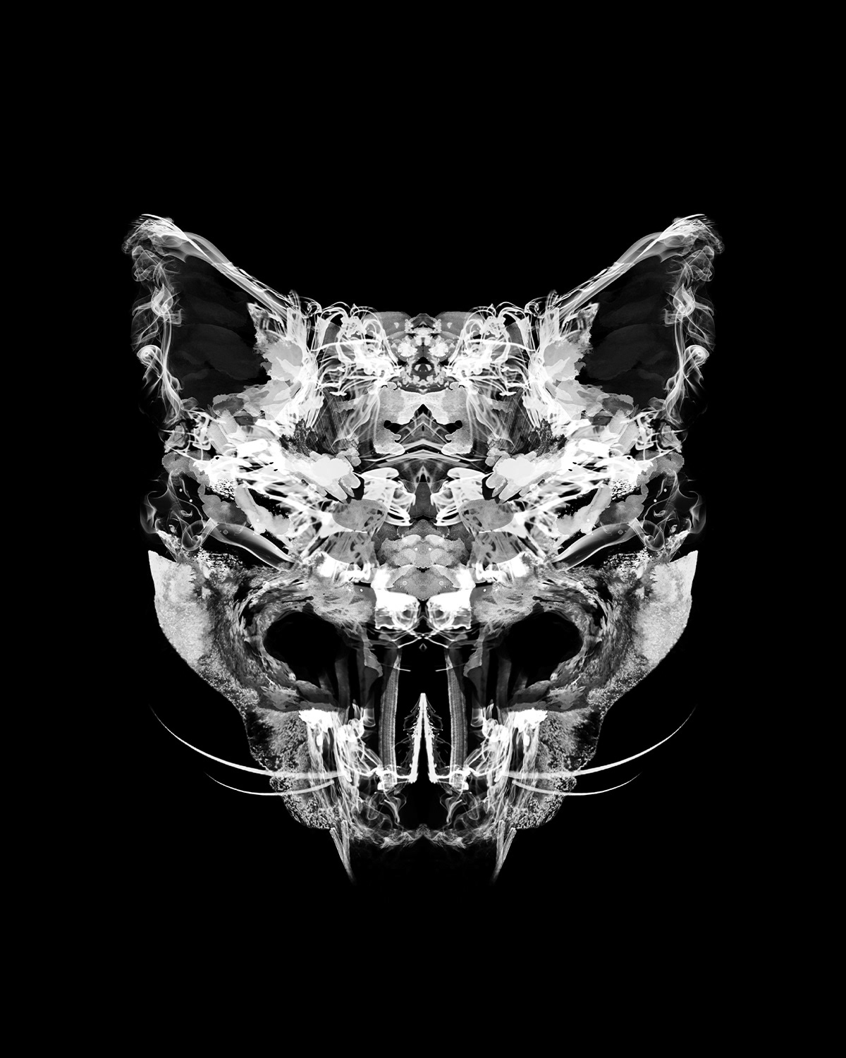 abstract inkblot rorschach skull dark skeleton xray mirror animal dark art