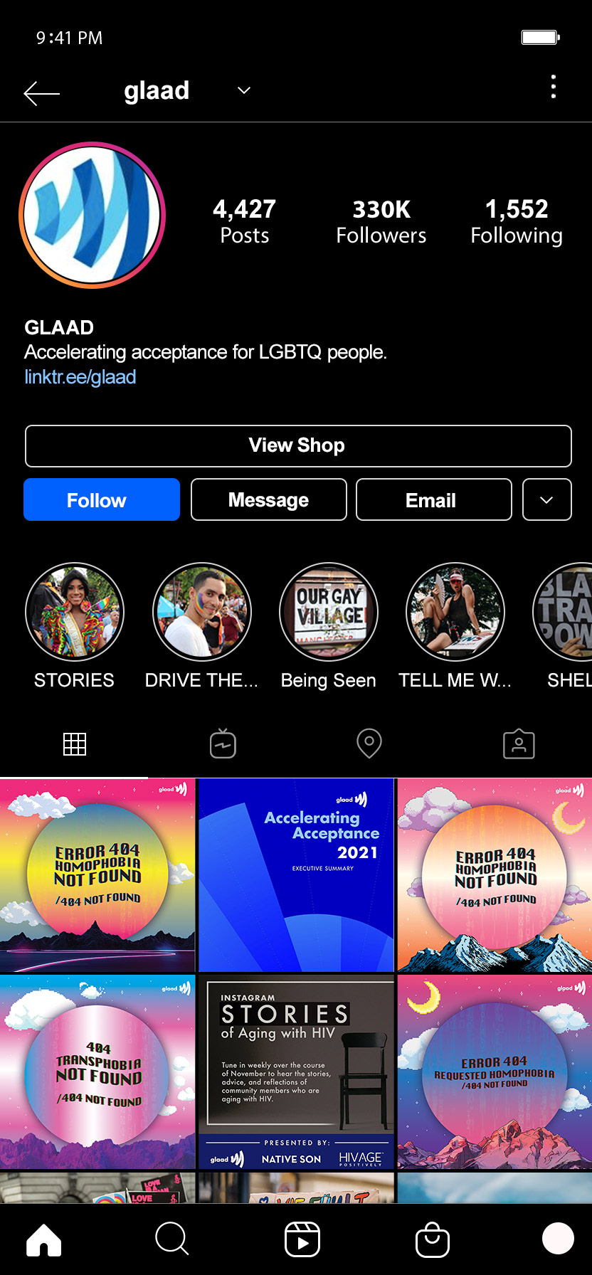 lesbian LGBTQ pride typography   branding  social media campaign