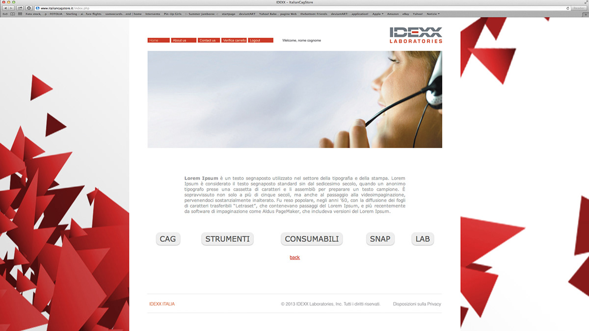 Web store marketing   company interactive cocept