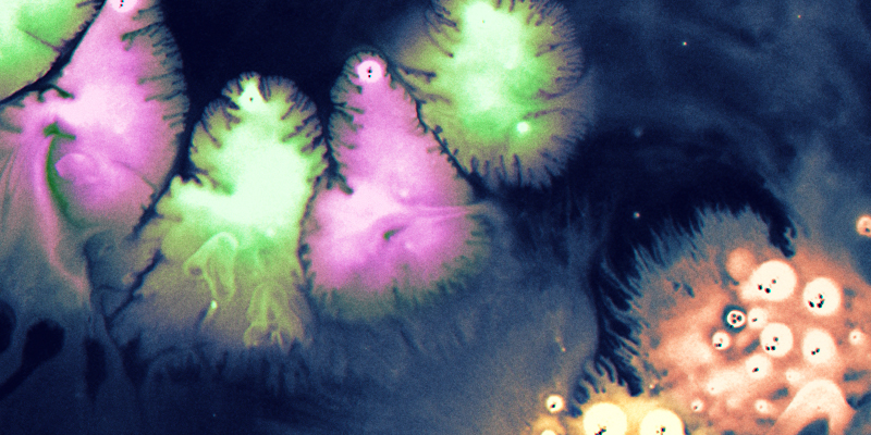 liquid type bloomberg superbugs