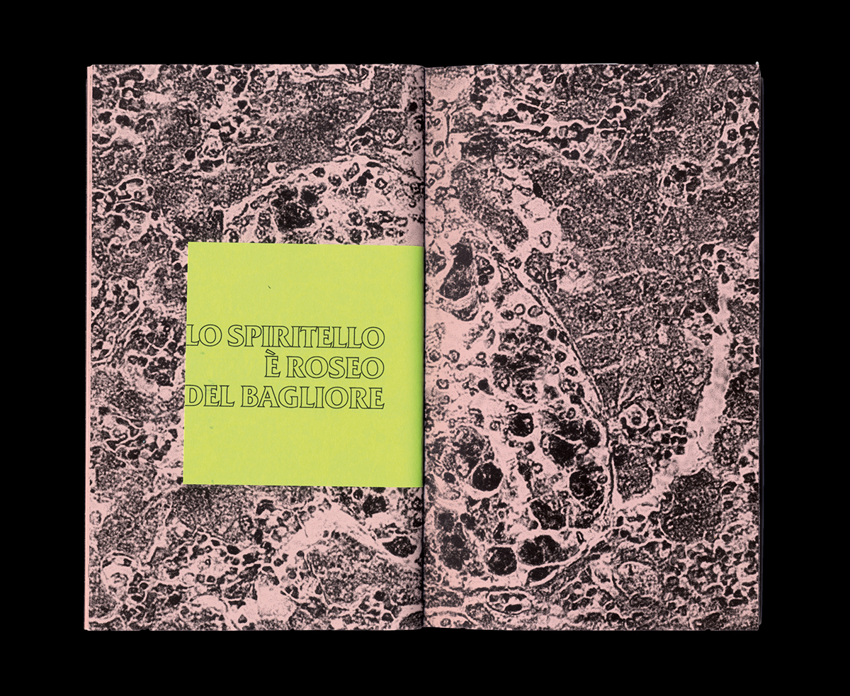 editorial xenotext pink fanzine punkzine gif DNA Zine  bologna bitmap