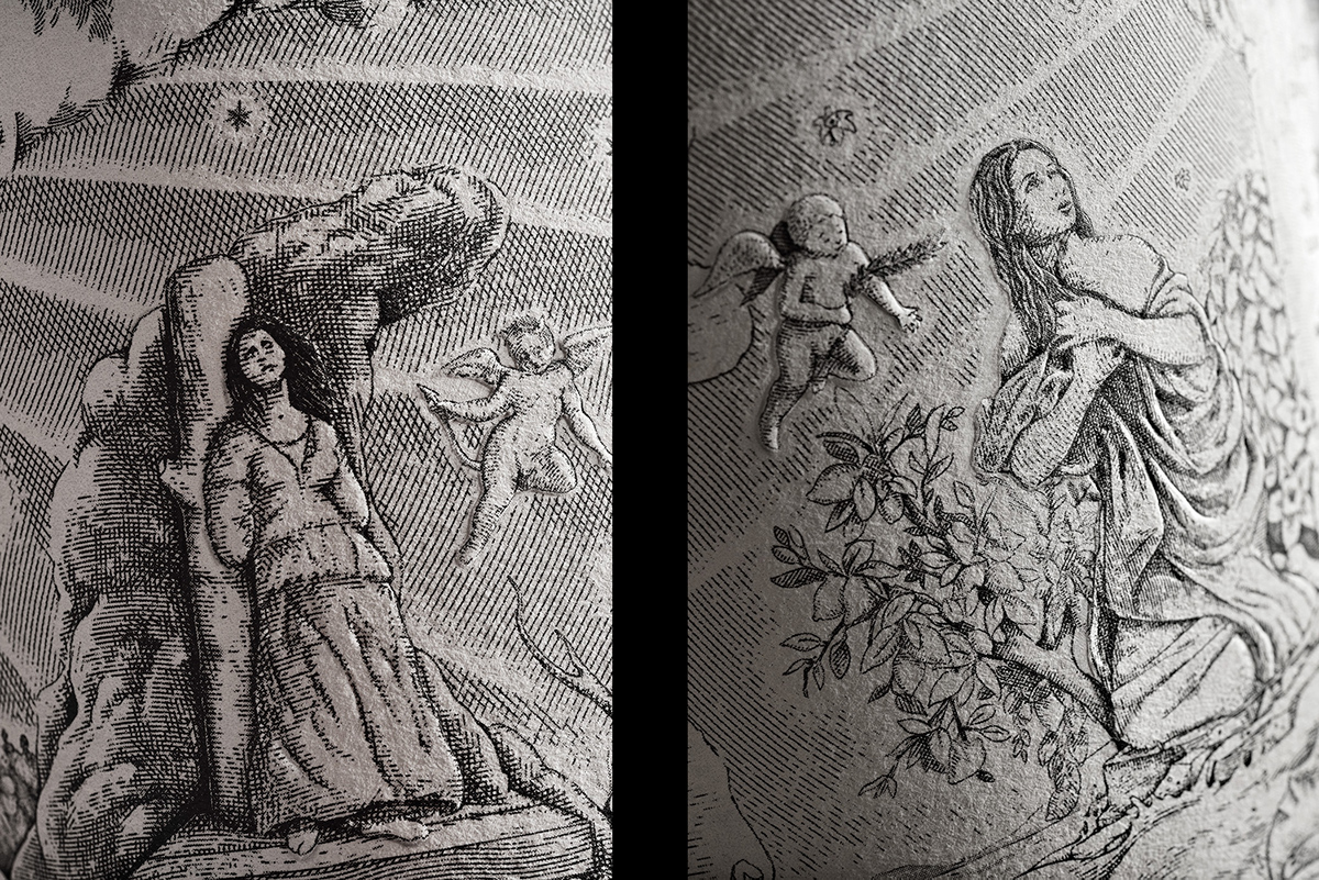 Rum Packaging santaren espirituosa bottlededsign ilustracion grabado engraved ILLUSTRATION  Labeldesign