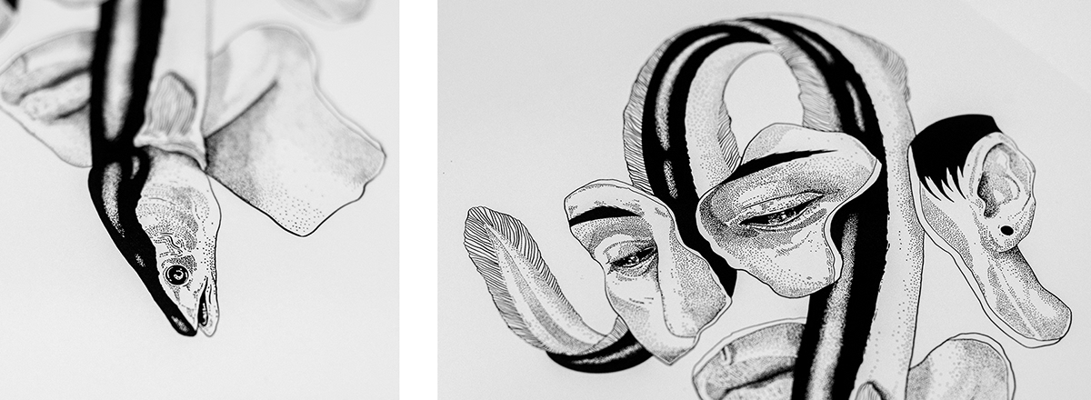 DIGITALDRAWING Drawing  ILLUSTRATION  print face portrait variousillustrations