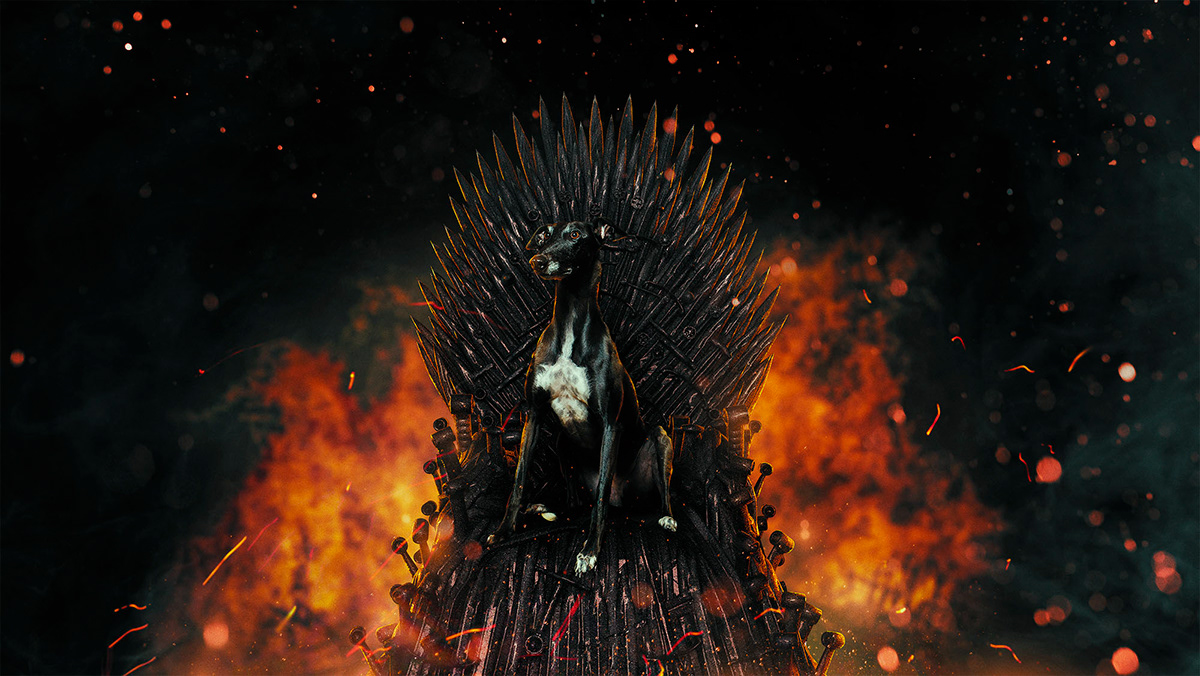 got Game of Thrones greyhound Fan Art iron throne