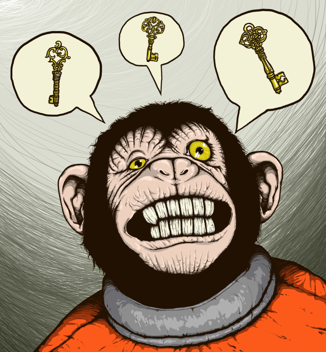 monkey key astronaut insane crazy