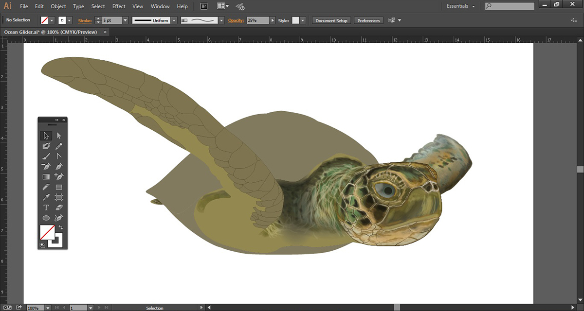 vector Illustrator paint draw design Creative Cloud cc sea turtle animal graphic ai adobe Behance wacom portfolio