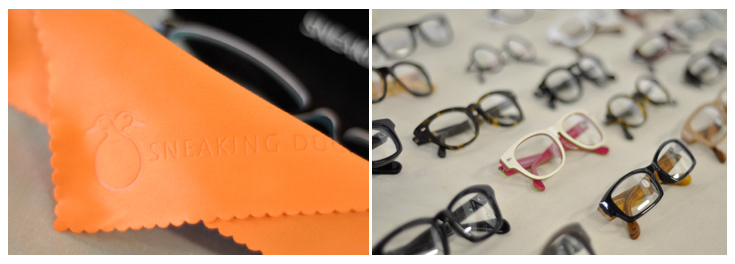 logo Website duck optical glasses Ecommerce