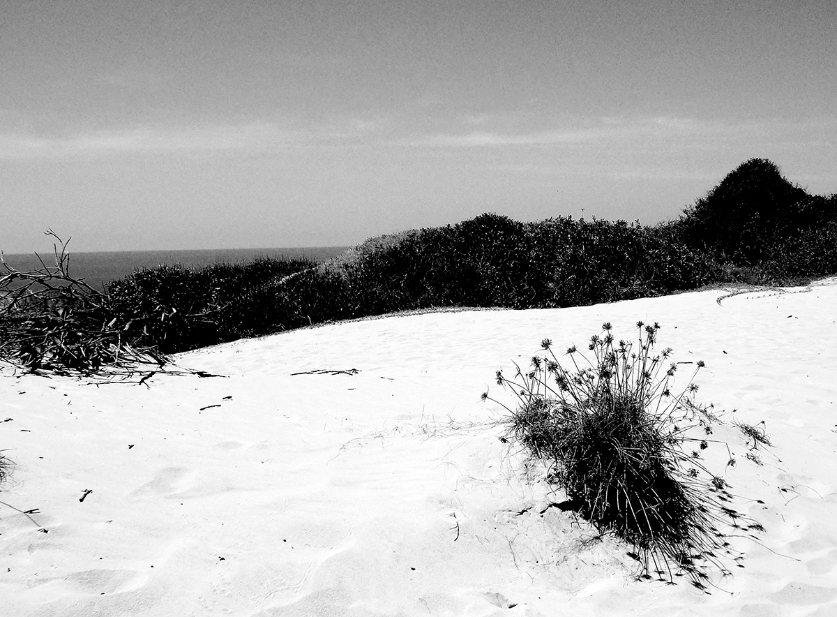Brazil colors sands beach desert dunes cliffs ceará blue SKY