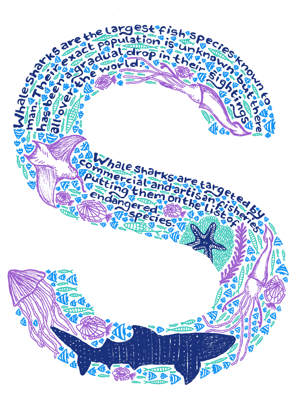 Sea the Sea Suma Balaram Endangered Marine Life illustrative typeface