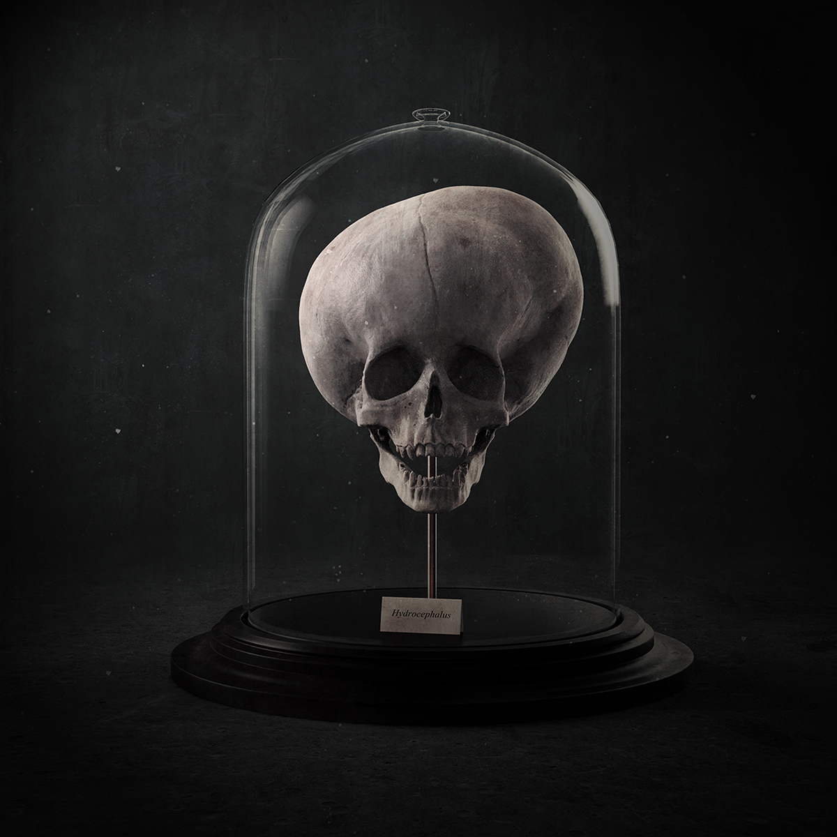 Zbrush keyshot rendering skulls HUNTERIAN dynamesh art CGI CG sculpter lighting