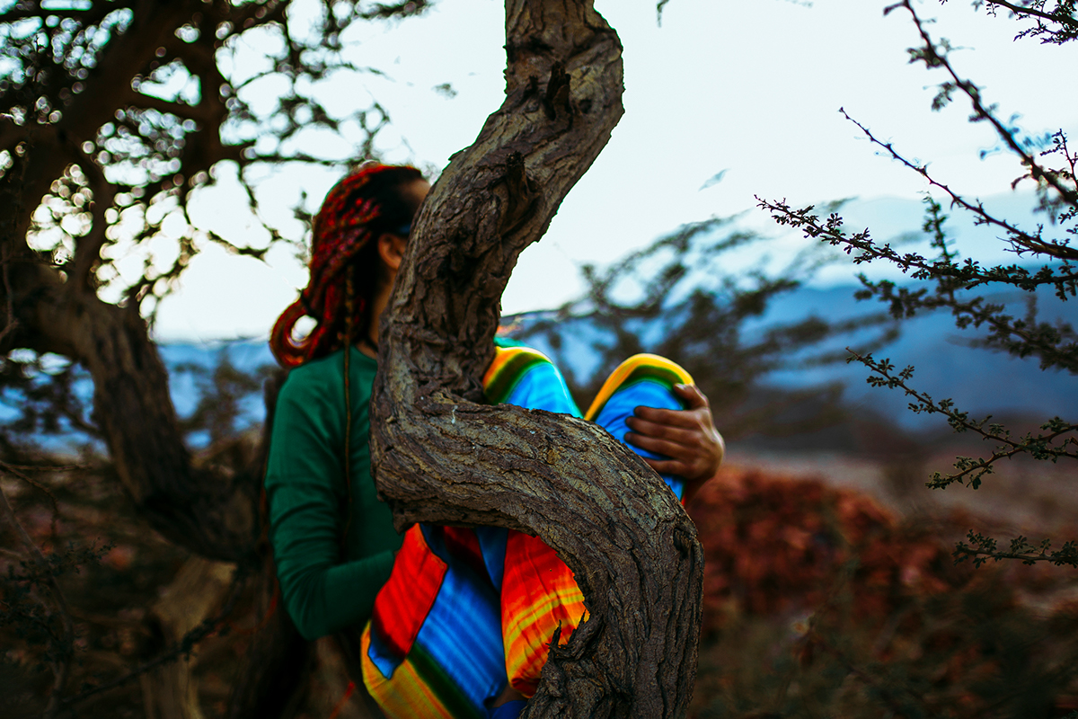 Nature sinai egypt Tree  mountain colors blend Landscape SKY