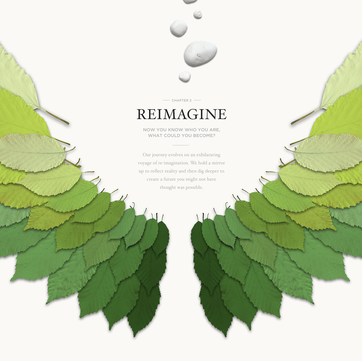 Website logo UI ux graphics Layout paint art leaves Nature Tree  Responsive