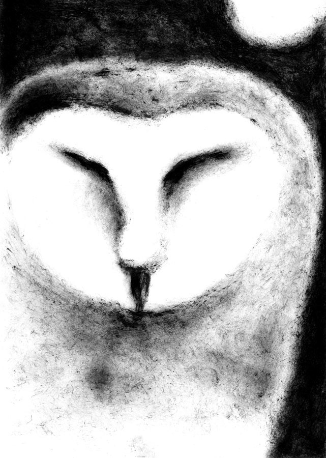stranger owl night silence black&withe cuckoo Пингвин черно белое тишина странные сова кукушка
