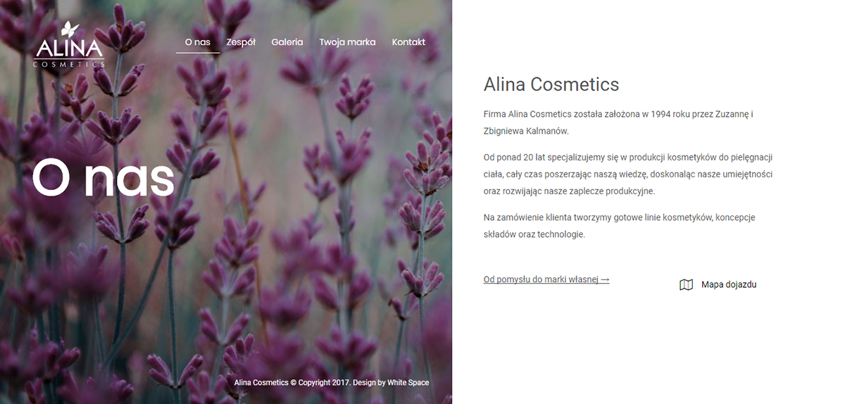 Website Responsive web design Web Design  branding  RWE
