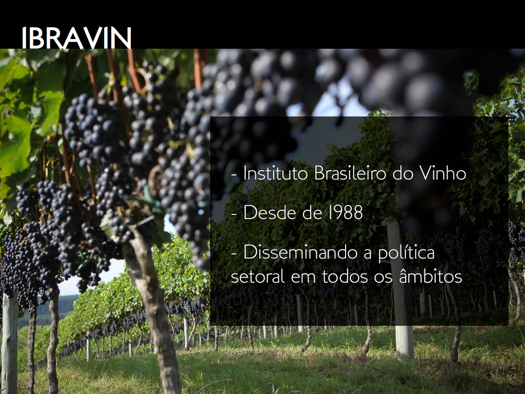 campanha apresentação Keynote IBRAVIN VINHOS