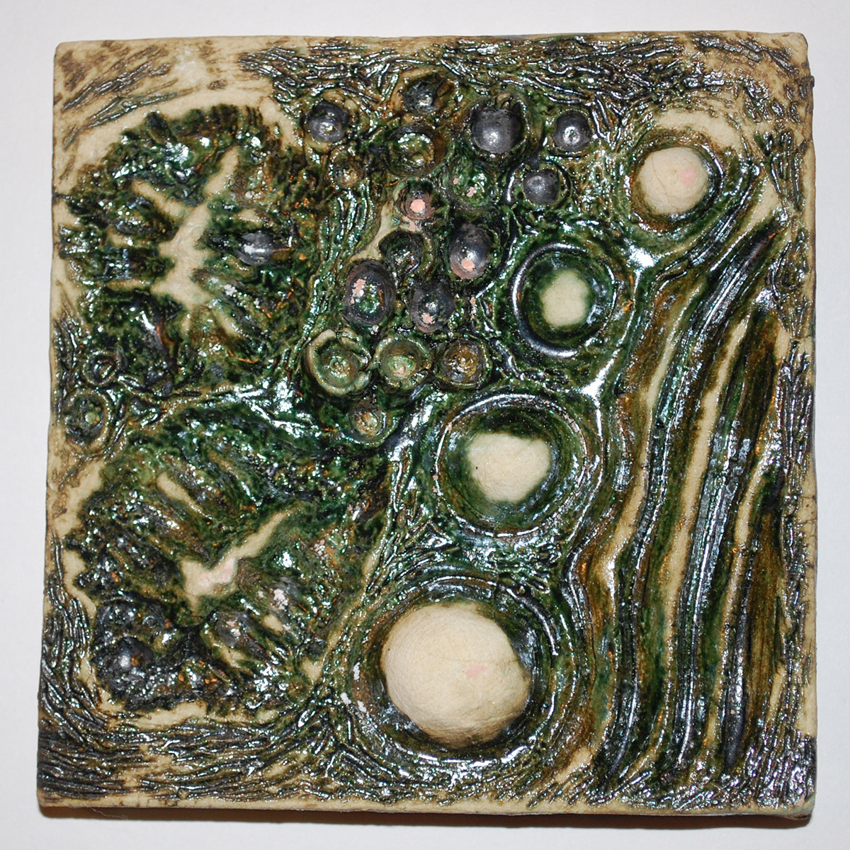 ceramics  tiles Landscape fossils molds microscopic cellular