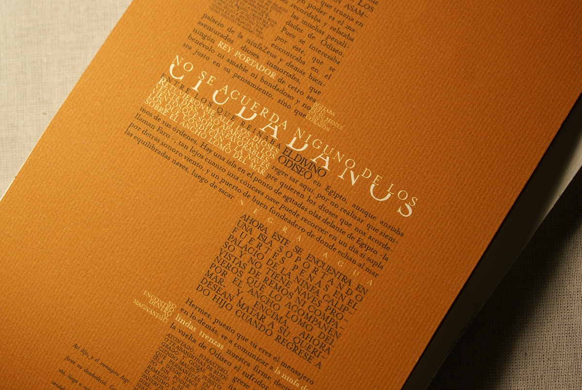 Diseño editorial Tipografía Longinotti tipografia libro book design book editorial magazine type