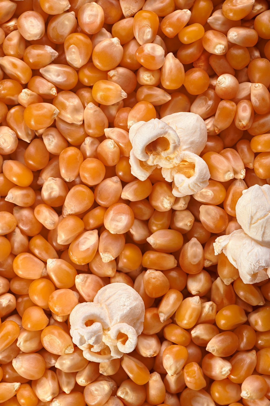 broncolor detail Food  macro Packaging phaseone Photography  popcorn