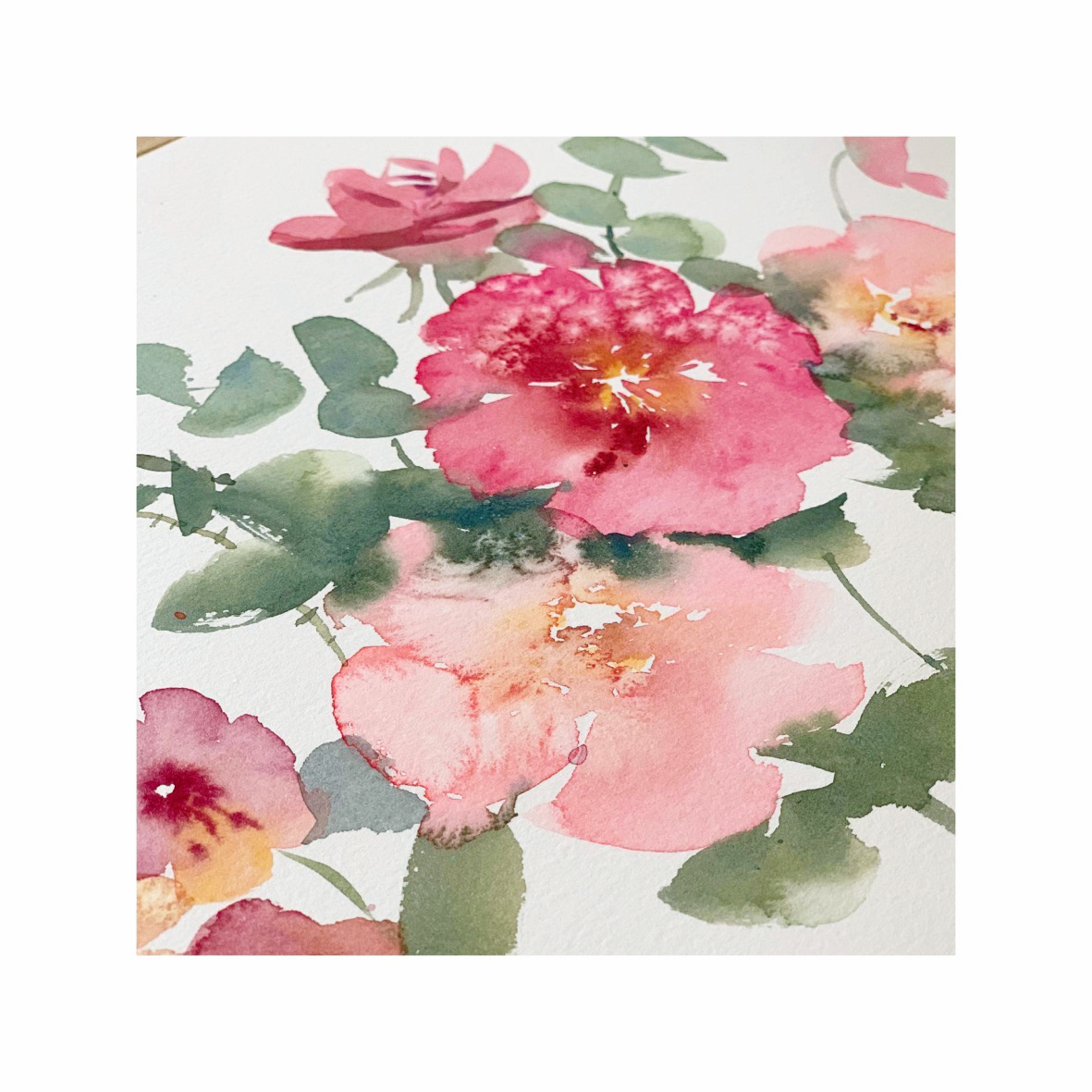 aquarelle Packaging protea Roses textile watercolor watercolor flower