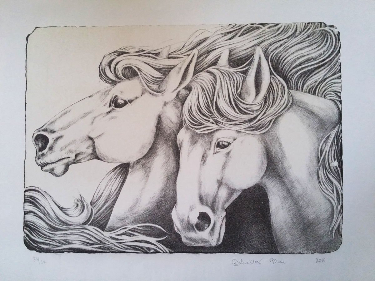 lithography lithograph print graphics litografia Printmaker horses art