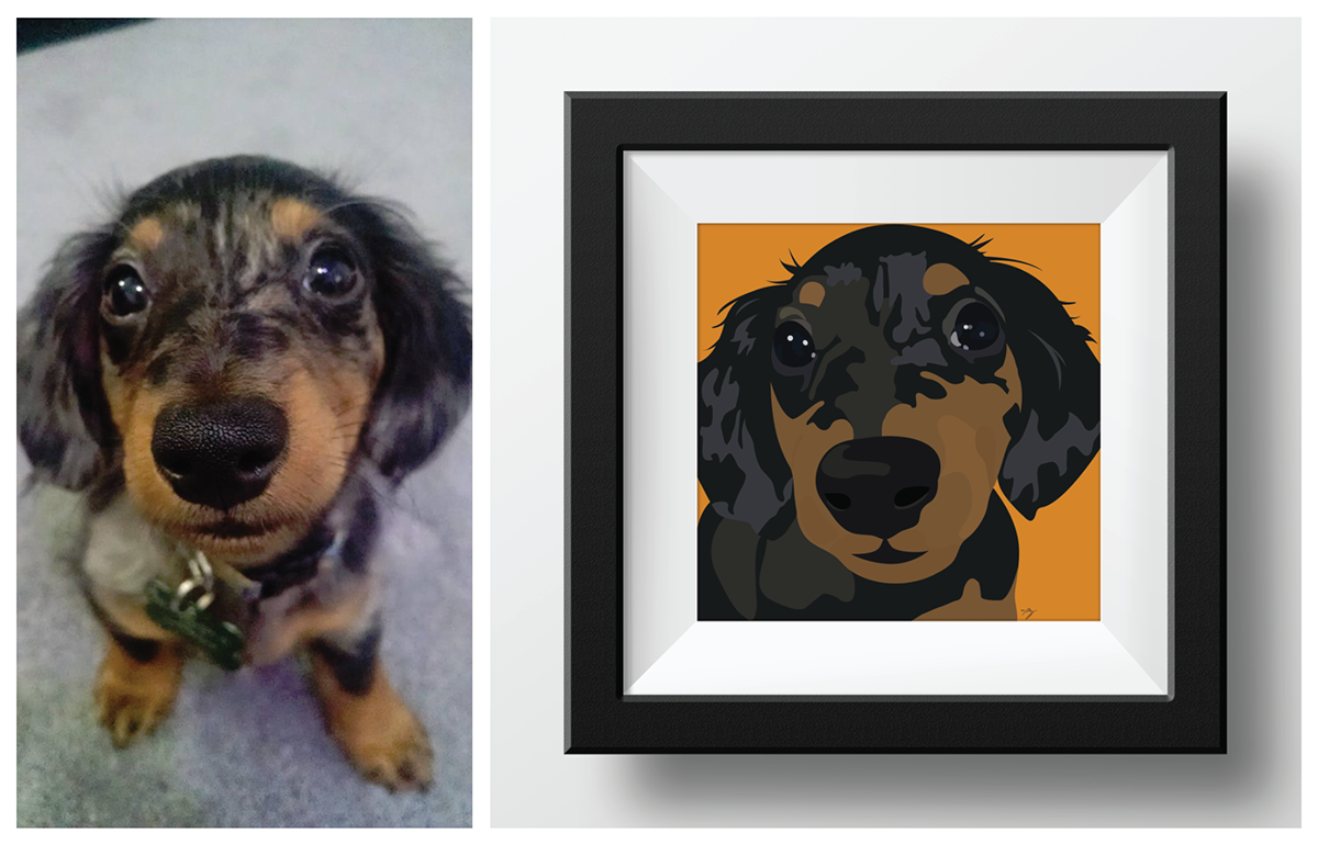dachshund ziggs dog puppy orange wiener dog