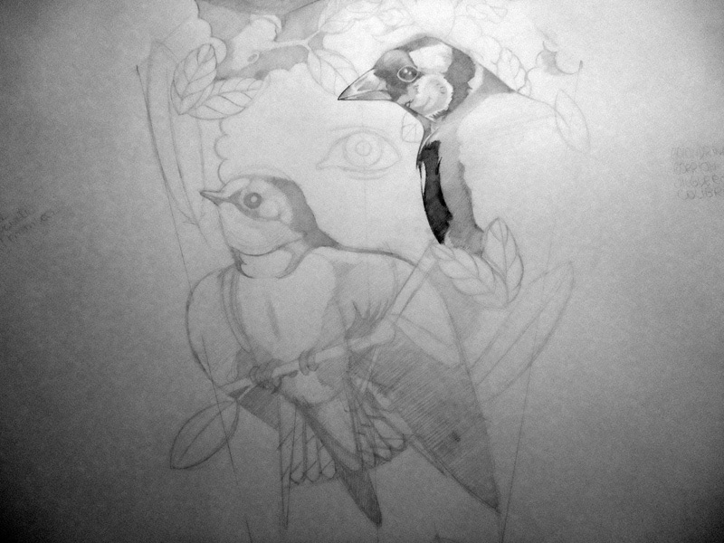lapiz gorrion jilguero ave colibri dibujo ilustracion Nube tattoo flash
