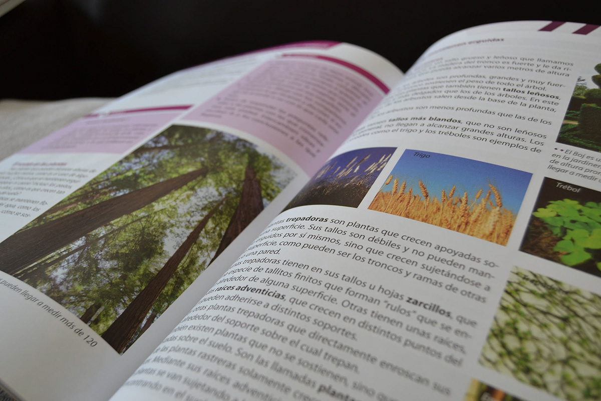 manuales escolares ciencias sociales ciencias naturales ministerio de educacion