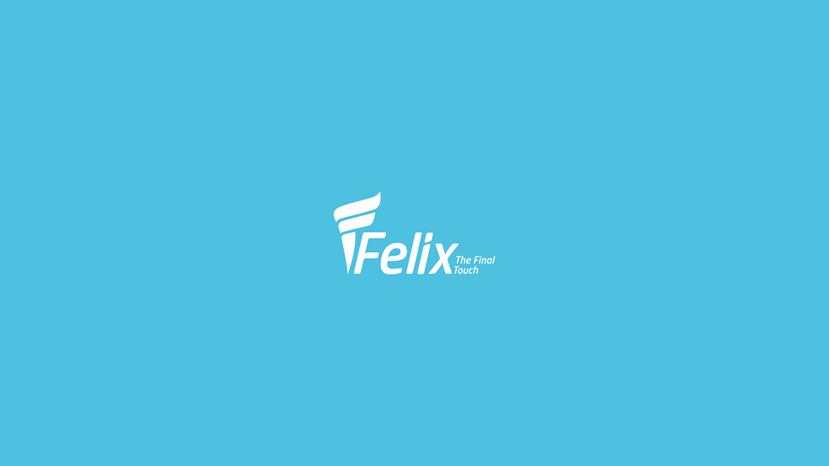 Felix Logo Presentation brand identity Logo presentation logo Logo Design School Logo