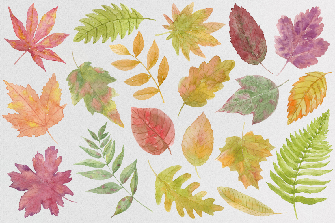 autumn leaves watercolor autumn clipart yellow red orange green paint stain