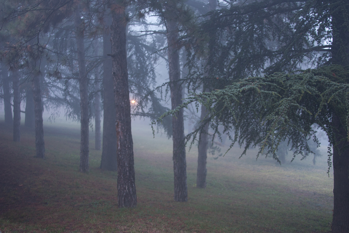 beograd belgrade Serbia winter fog foggy antique forest statue nude tito Museus tori amos mystery Magic  