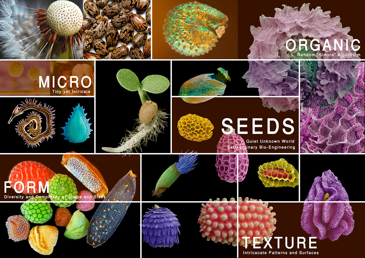 surface texture seeds organic Bio-mimicry light effects plants resin clay