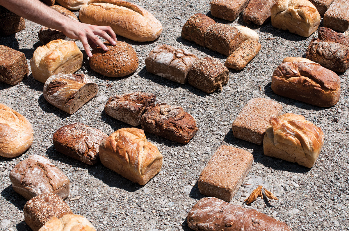 bread waste Food 