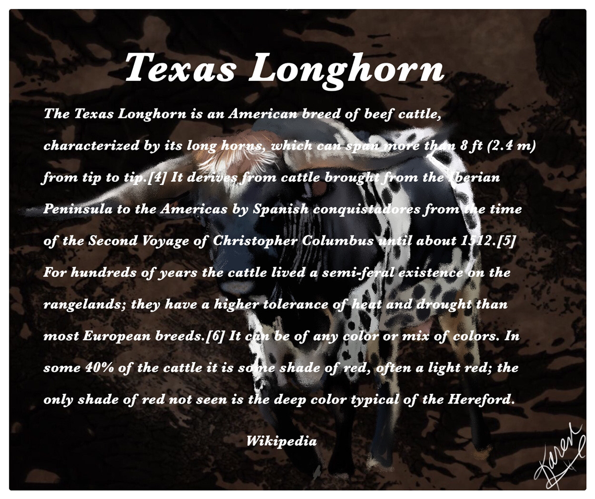 Digital Art  digital painting Drawing  illustrations animals Cattle texas longhorns