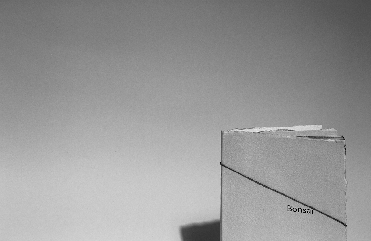 bonsai book tracing paper handmade paper