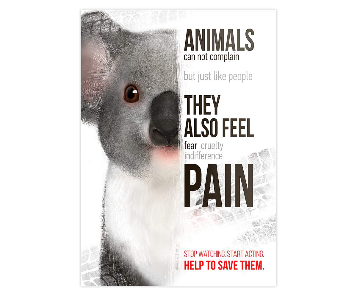 koala eco poster post animal animals Australia social eco