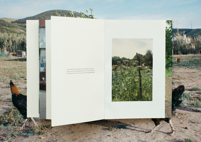 book design analog photography
