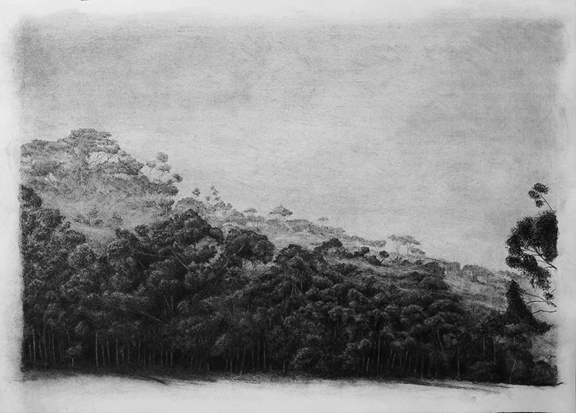 charcoal ink oil Landscape
