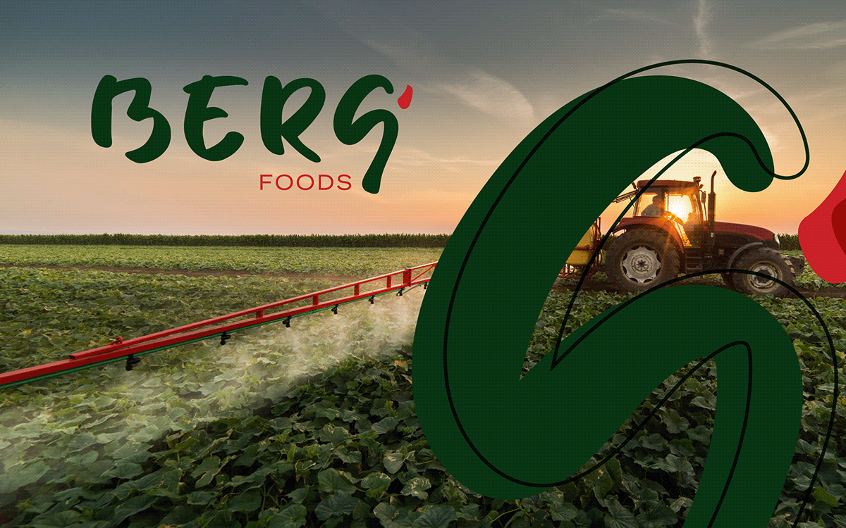 brand identity branding  logo design Food  Packaging farm community agriculture harvest