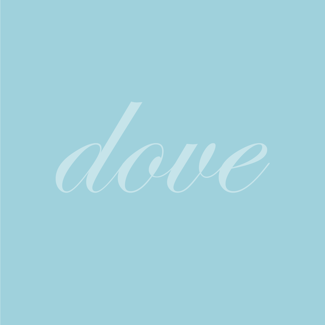 dove Illustrator graphic design  Low Poly geometric Typeface Edwardian Script ITC