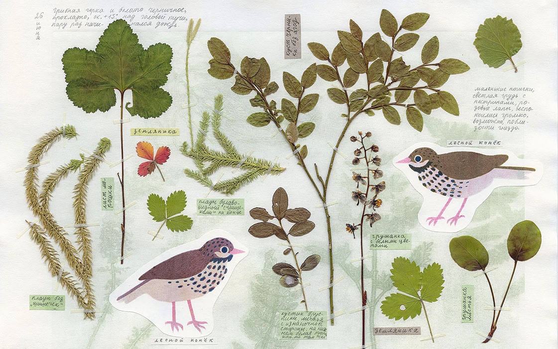 Bookbinding Herbarium personal pochoir printmaking stencil
