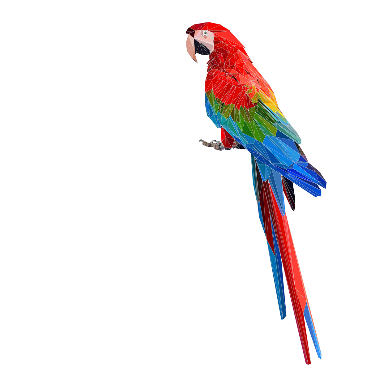 Low Poly lowpoly bird parrot Drawing  art ILLUSTRATION 