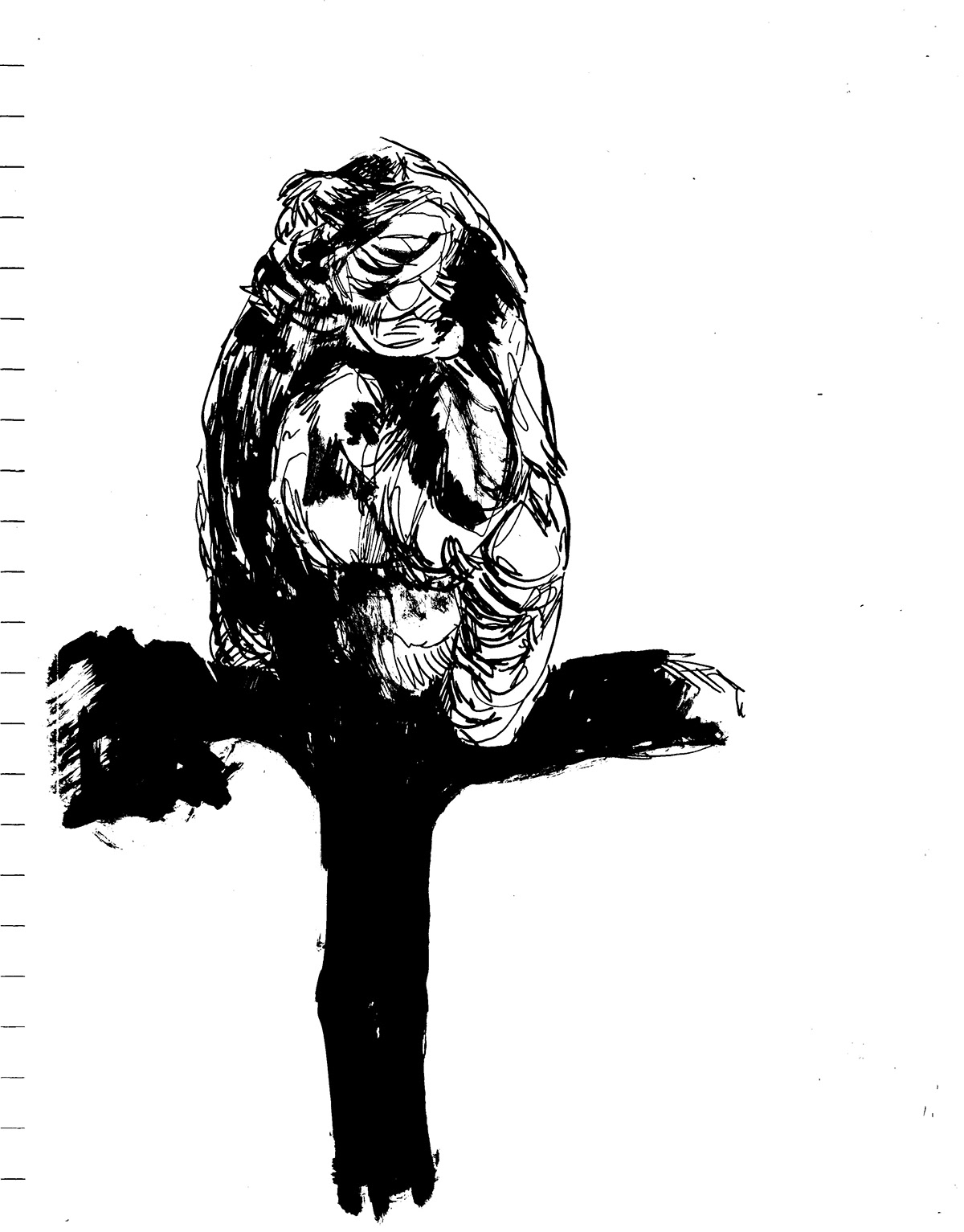 ink ink nib observational drawing art Visual Development owls birds animals narrative portrait wildlife stuffed