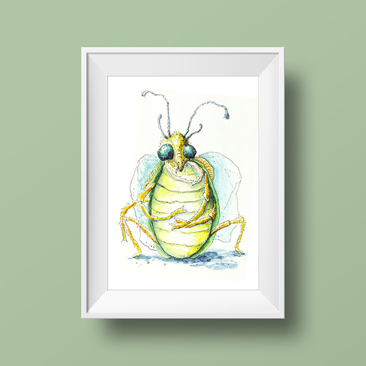 beetles bugs ink Art Insects natimade Nature watercolor art