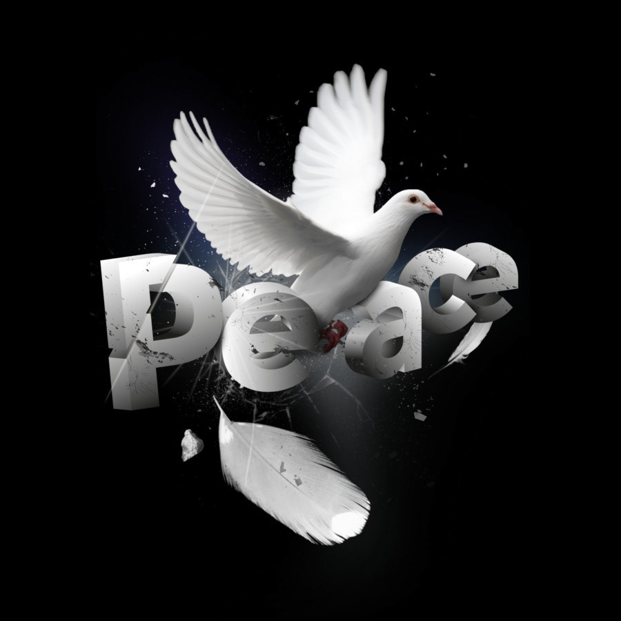 dove peace tshirt tshirts graphicdesign designbyhumans dbh 3D White black