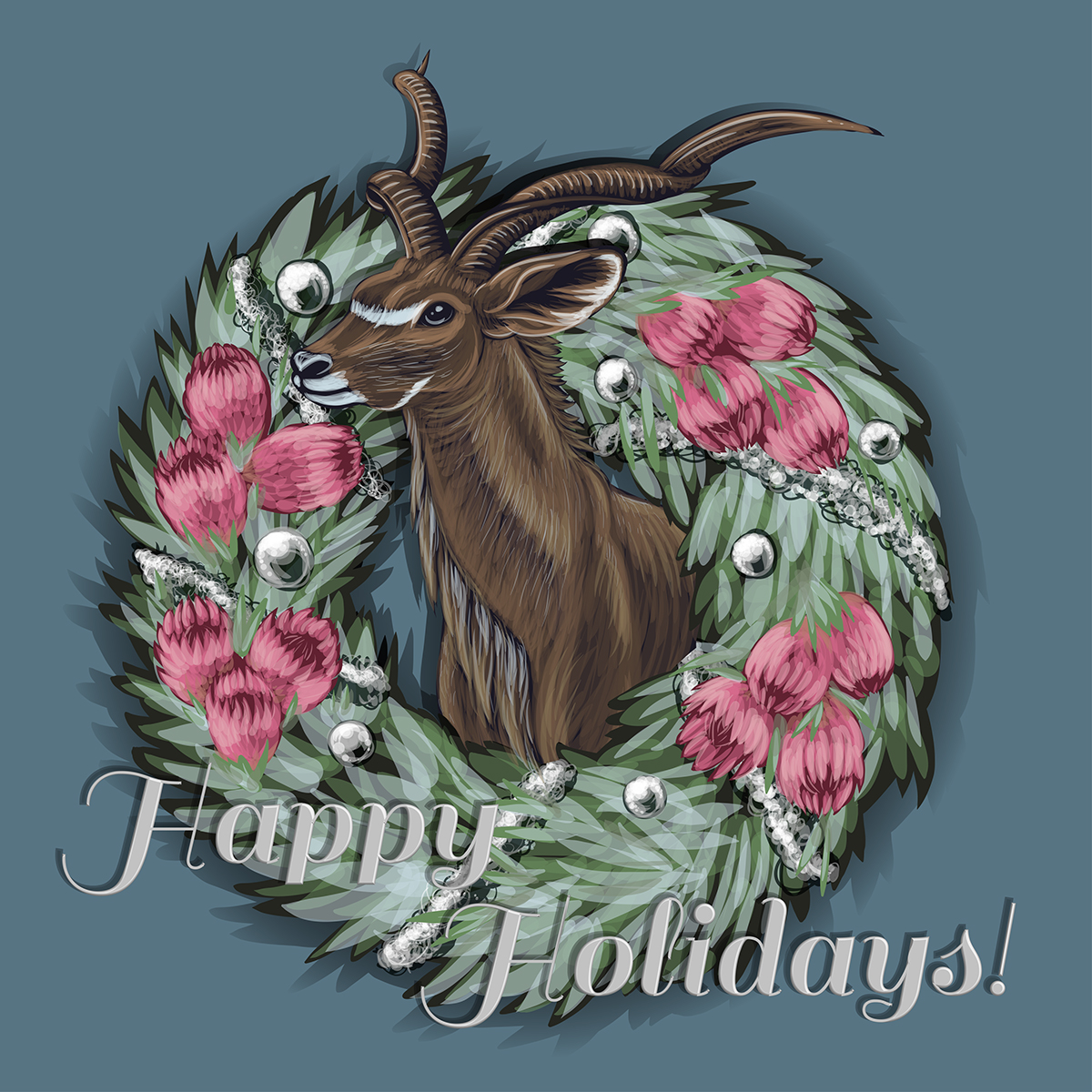 motion graphic holiday ecard adobe illustrator Adobe Photoshop Adobe Aftereffects Kudu protea south africa Christmas