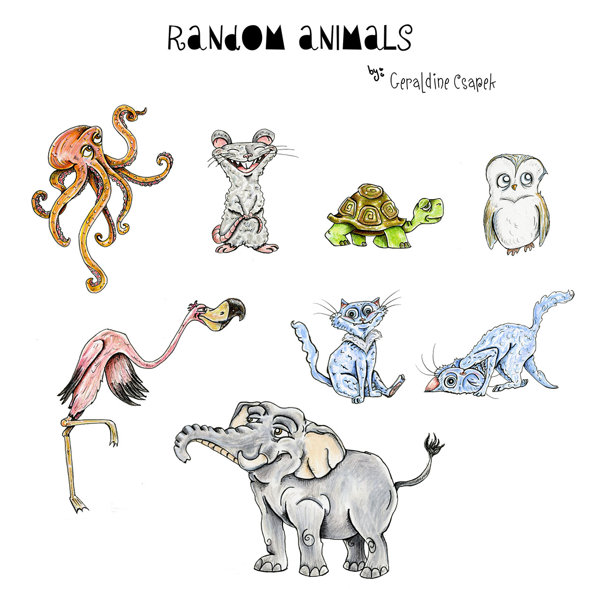 random animals