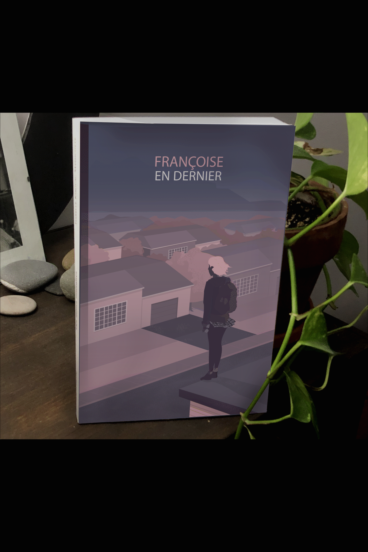 book cover Cove roman couverture litterature Landscape suburb gif animation  Montreal